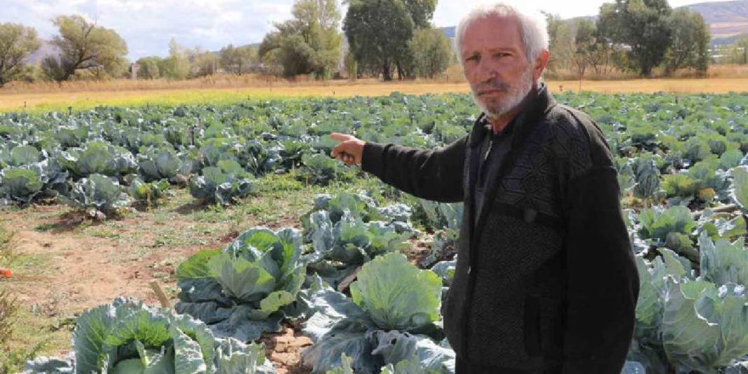 İklim değişikliğinden tarıma büyük darbe: Rekor büyüklükte mahsul kurudu, çiftçi perişan oldu! 2